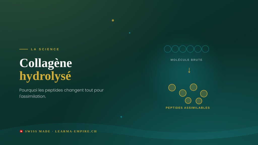 collagene hydrolyse learma